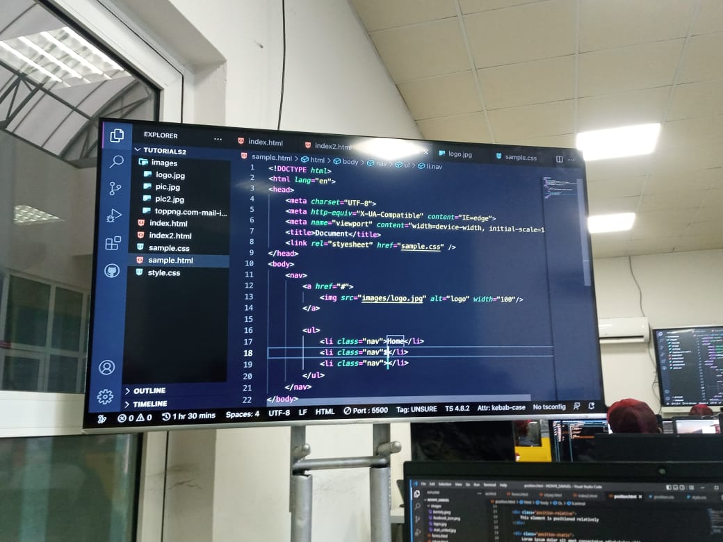 Web Design